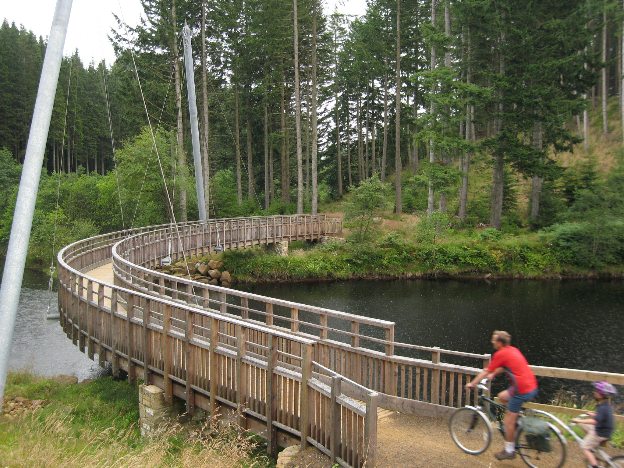 Image result for pylon and concrete slab trail bridge construction